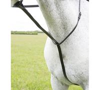 Blenheim Havana Brown Standing Martingale - Full