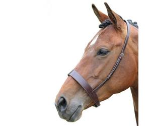 Blenheim Hunter Leather Horse Cavesson Brown (Cob)