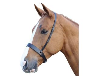 Blenheim Hunter Leather Horse Cavesson ER173