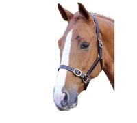 Blenheim Leather Adjustable Horse Headcollar Havana (Yearling)