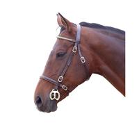 Blenheim Leather Clincher Horse Inhand Bridle ER582