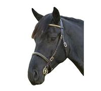 Blenheim Leather Clincher Horse Inhand Bridle ER582