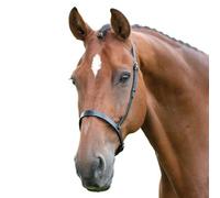 Blenheim Leather Horse Cavesson Noseband Black (Cob)