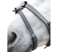 Blenheim Leather Horse Flash Strap Black (X Full)