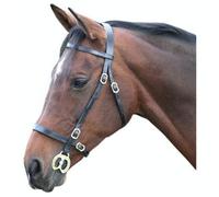 Blenheim Leather Plain Horse Inhand Bridle Black (Full)