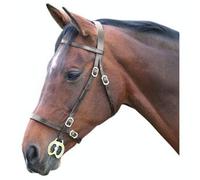 Blenheim Leather Plain Horse Inhand Bridle Havana (Full)