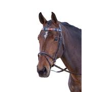 Blenheim Leather Polo Horse Browband ER195