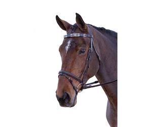 Blenheim Leather Polo Horse Browband ER195