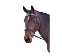 Blenheim Leather Polo Horse Browband (Full) (Purple/Dark Green/Yellow)