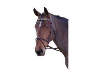 Blenheim Leather Polo Horse Browband Purple/dark Green/yellow (Cob)