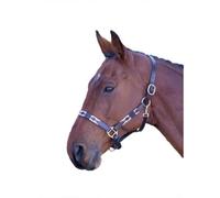 Blenheim Leather Polo Horse Headcollar Pink/navy/natural (Pony)