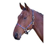 Blenheim Leather Polo Horse Headcollar Red/navy (Pony)