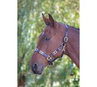 Blenheim Pink/Natural/Navy Leather Polo Headcollar - Cob