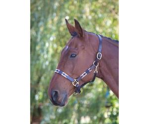 Blenheim Pink/Natural/Navy Leather Polo Headcollar - Pony