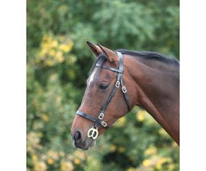 Blenheim Plain Havana Brown Inhand Bridle - Shetland