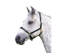 Blenheim Ragley Leather Horse Headcollar Black (Full)