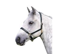 Blenheim Ragley Leather Horse Headcollar ER899
