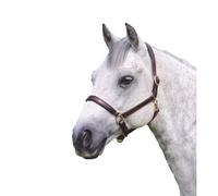 Blenheim Ragley Leather Horse Headcollar Havana (Full)