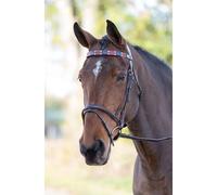 Blenheim Red/Navy Leather Polo Browband - Extra Full