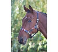 Blenheim Turquoise/Red/Orange/Blue Leather Polo Headcollar - Cob