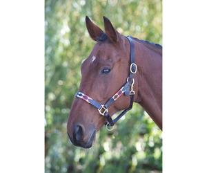 Blenheim Turquoise/Red/Orange/Blue Leather Polo Headcollar - Cob
