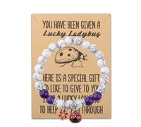 BLEOUK Ladybug Inspirational Bracelet Ladybug Jewelry Good Luck Ladybug Charm Bracelet, S, Metal, na unknow