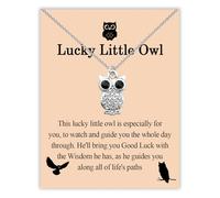 BLEOUK Lucky Owl Necklace Owl Gifts For Owl Lovers Inspirational Quote Good Luck Owls Charm Jewelry For Best Friend, S, Metal, na unknow