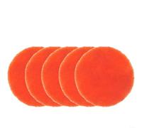 BlesConi Industrial Scouring Pads 4 Inch 5 Pack Nylon Polishing Discs Fleece Backed for Tile Grout Bathtub Sink Cleaning and Deburring Various Grits