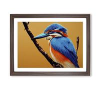 Blessed Kingfisher Bird Framed Print | A4 Walnut Framed Wall Art | Ready to Hang | Modern Nature Picture | Living Room Bedroom Lounge Office