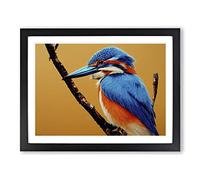 Blessed Kingfisher Bird H1022 Framed Print for Living Room Bedroom Home Office Décor, Wall Art Picture Ready to Hang, Black A3 Frame (46 x 34 cm)