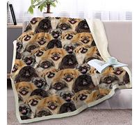 BlessLiving Fuzzy Dogs Blanket For Kids Adults Cute Puppy Fleece Blanket Reversible Animal Pattern Sherpa Throw Twin/Double (Pug,150x200cm)
