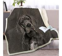 BlessLiving Grey Great Dane Throw Soft Blanket Sherpa Fleece Lined Blanket Pet and Dog Lovers Home Throw Blankets Twin/Double (150x200cm)