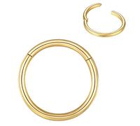 BLESSMYLOVE Nose Rings Hoop Gold 20G 8mm 316L Surgical Steel Cartilage Earrings Conch Daith Helix Rook Tragus Lobe Snug Body Piercing Jewelry 20 gauge Stainless Steel Hinged Segment Rings Lip Rings
