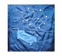 Bleu Shinobi - Things You Won't Do Today