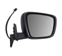 BLIC 5402-02-2435311P Wing mirror