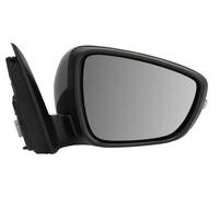 BLIC 5402-03-2152313P Wing mirror