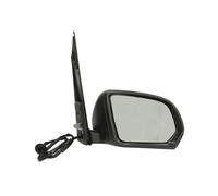 BLIC 5402-04-0203894P Wing mirror