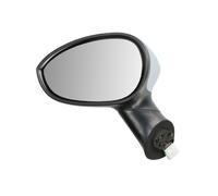 BLIC 5402-04-1111527P Wing mirror