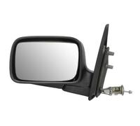 BLIC 5402-04-1112529P Wing mirror