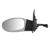 TYC 309-0070 Wing mirror
