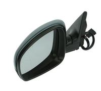 BLIC 5402-04-1139559P Wing mirror