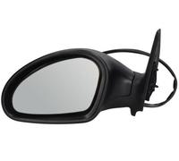 BLIC 5402-04-1139997P Wing mirror