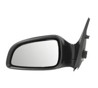 BLIC 5402-04-1155599 Wing mirror