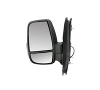 BLIC 5402-04-1291961P Wing mirror