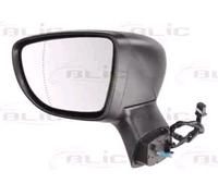 ALKAR 6127187 Wing mirror