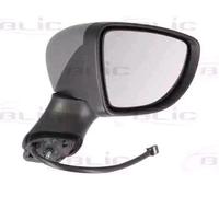 BLIC 5402-09-2002130P Wing mirror