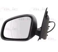 BLIC 5402-09-2002245P Wing mirror