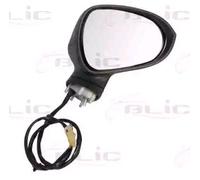 BLIC 5402-10-2002280P Wing mirror