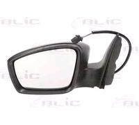 BLIC 5402-10-2002323P Wing mirror