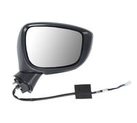 BLIC 5402-14-0770313P Wing mirror